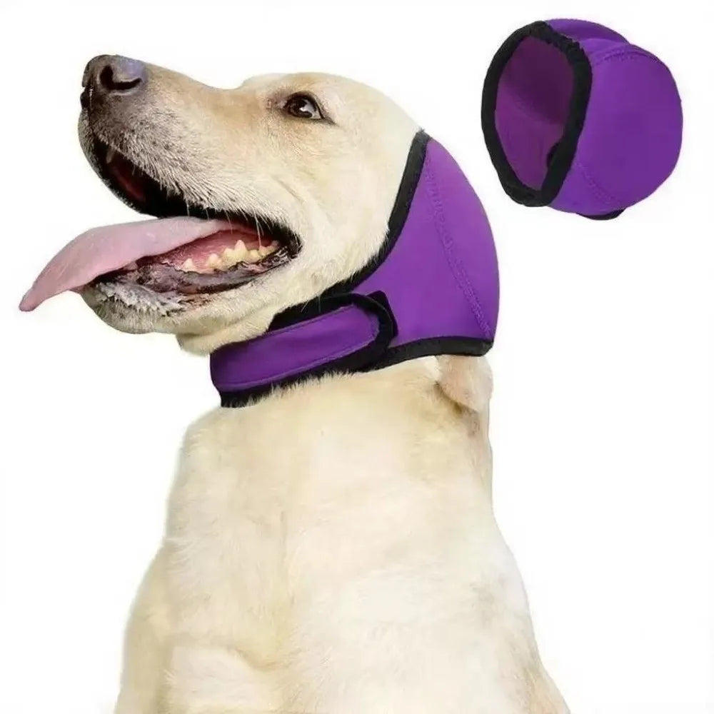 Morado